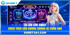 Tài Xỉu Live SHBET – Cách Theo Cầu Nhưng Không Bị Cuốn Ván