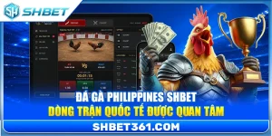 Đá Gà Philippines SHBET – Dòng Trận Quốc Tế Được Quan Tâm Nhất Hiện Nay