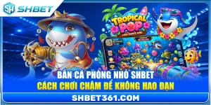 Bắn Cá Phòng Nhỏ SHBET – Cách Chơi Chậm Để Không Hao Đạn