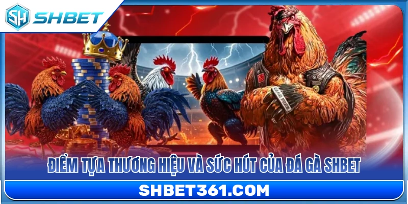 Đá Gà SHBET 1 Uy tín thương hiệu và sức hút của đá gà SHBET