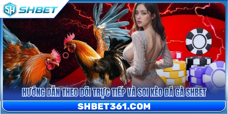Đá Gà SHBET 3 Hướng dẫn xem trực tiếp và soi kèo đá gà SHBET