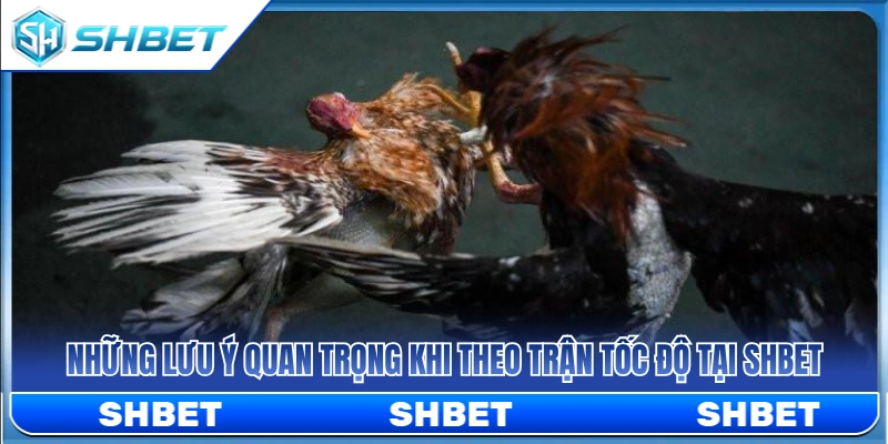Kinh nghiệm giúp theo theo dõi các trận đấu tốc độ