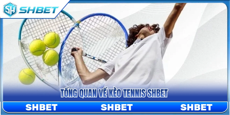Khái quát về thị trường kèo tennis SHBET 